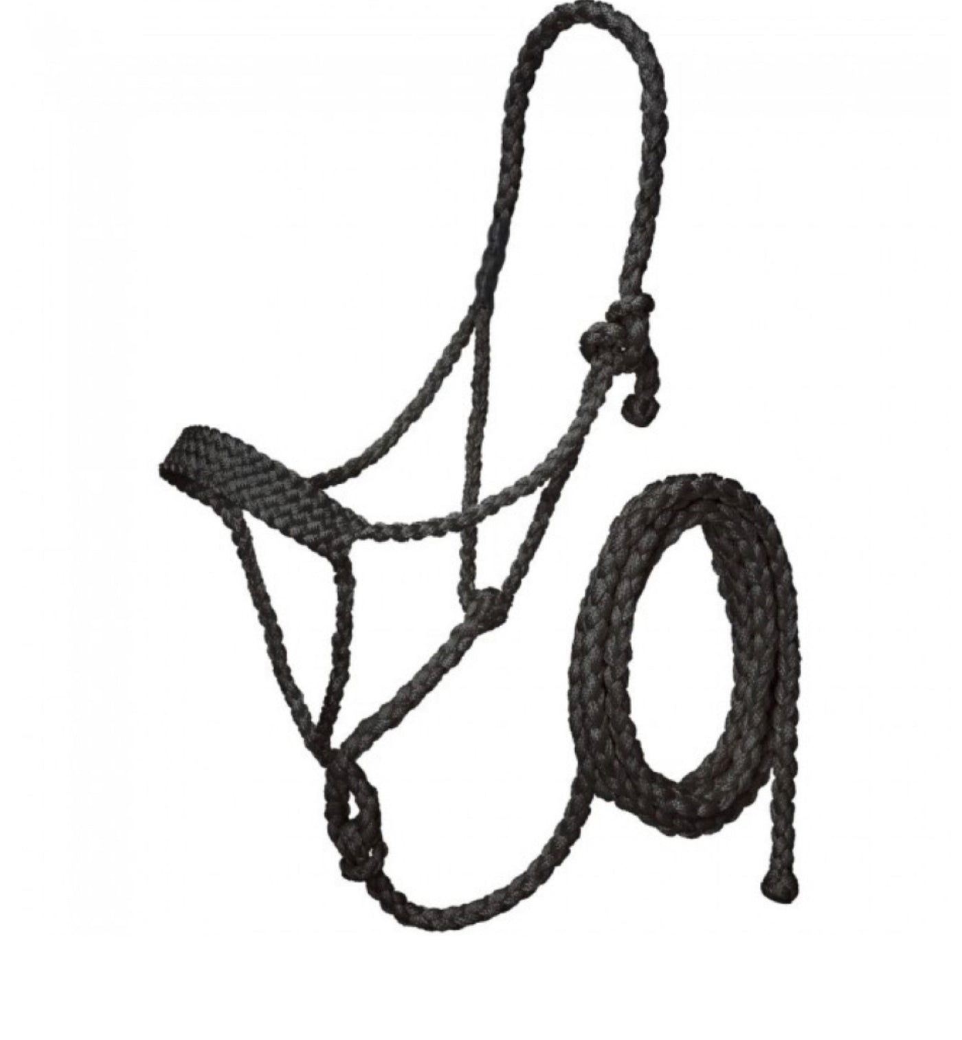 BLACK MULE TAPE HALTER