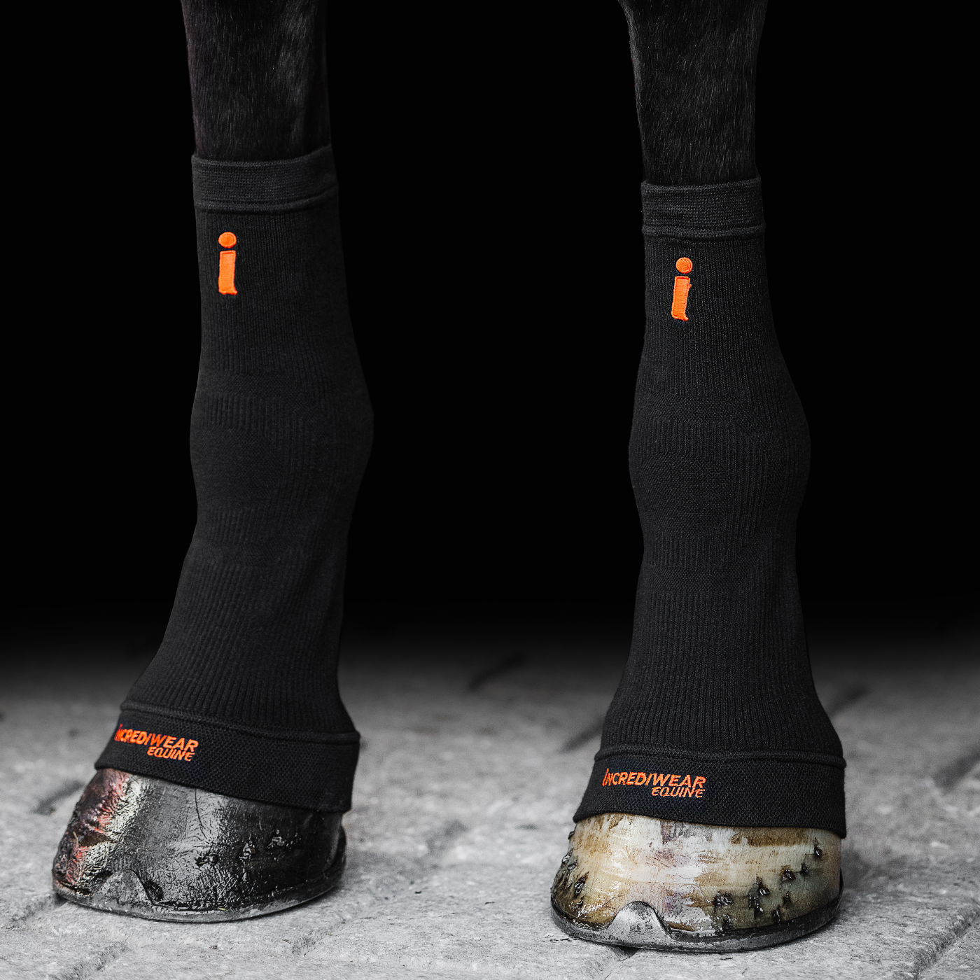 Incrediwear Equine Circulation Hoof Socks