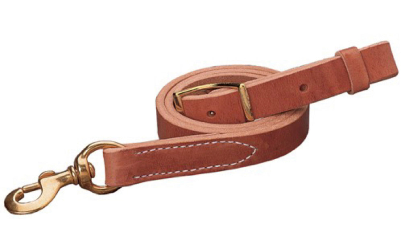 CST 1'' HARNESS LEATHER TIE DOWN