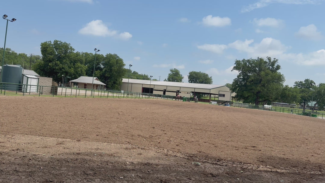 SOLD Max 4 year old AQHA Head Horse