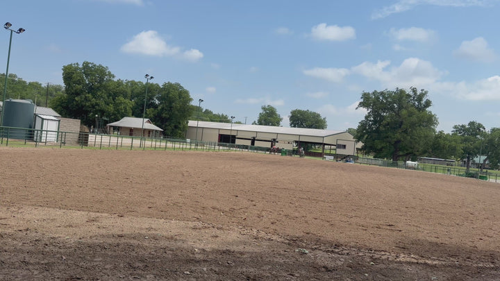 SOLD Max 4 year old AQHA Head Horse