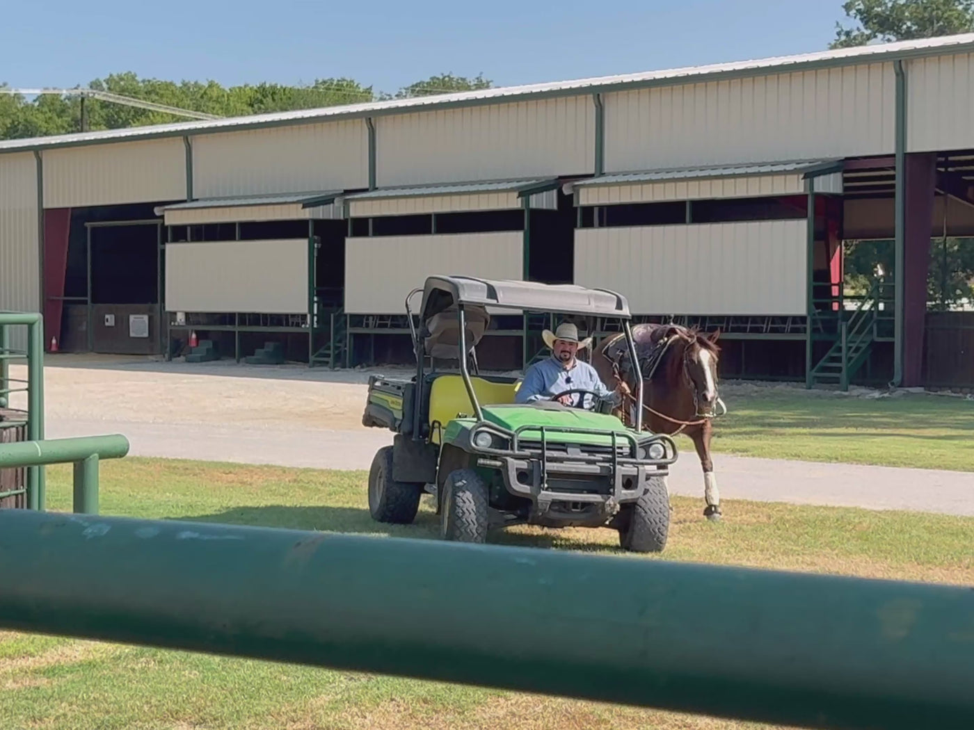 SHOW HORSE “LAW OF ATTRACTION’’